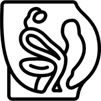 Gynécologie